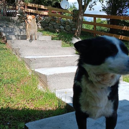 Čačak Vikendica Ovcar Banja 빌라 외부 사진